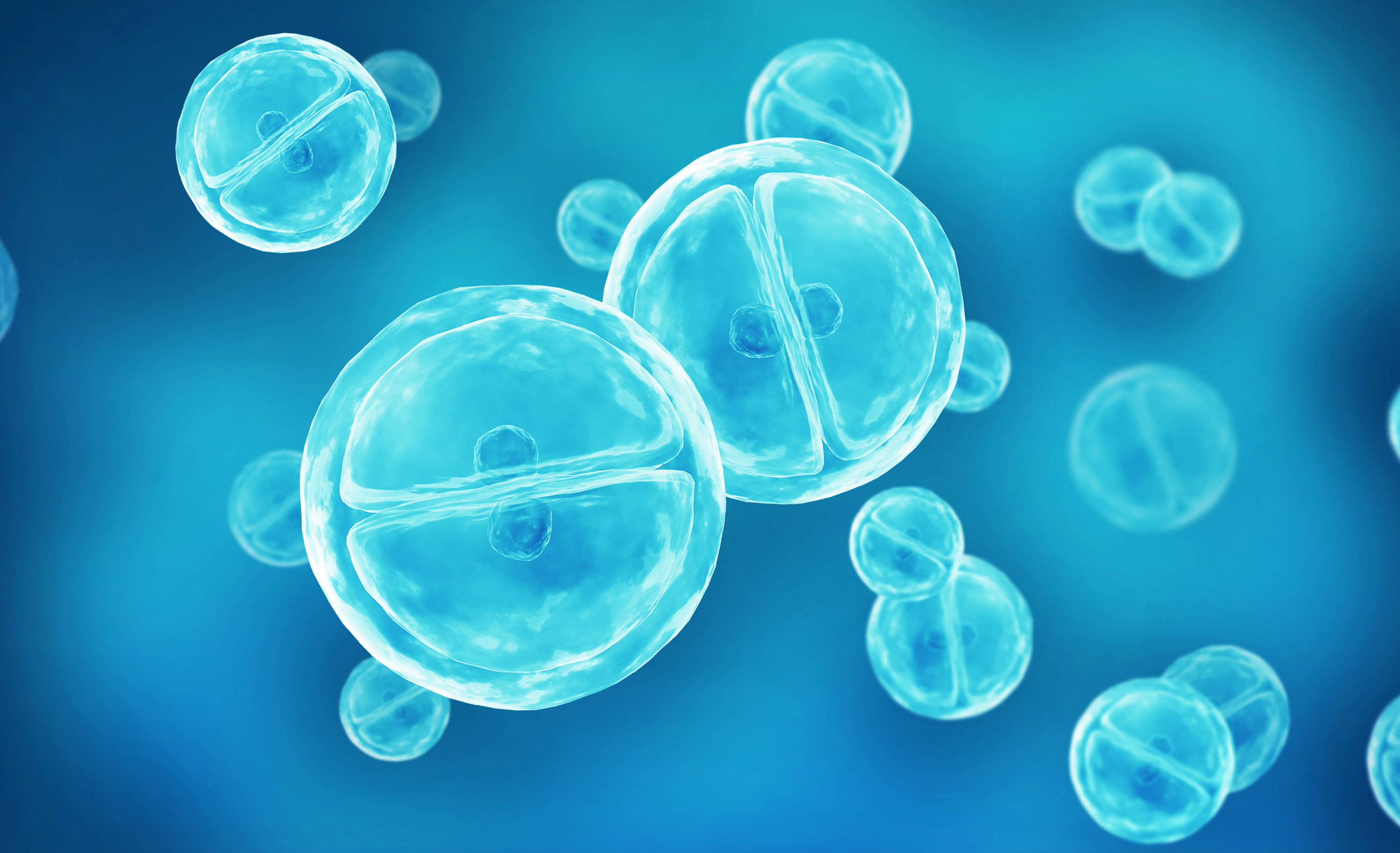 技術支持丨細胞培養和細胞消化操作過程小貼士
